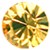 jonquil