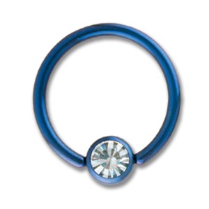 Titanium Jew.BCR 1.6x10mm, purple