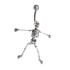 Bauchnabel Körperschmuck Piercing mit 925 Silber Lets Dance Skelett