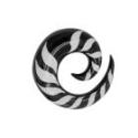 Organix Ohrdehner Spirale aus Wasserb&uuml;ffelhorn in schwarz-wei&szlig;