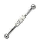 Industrial Barbell  aus Chirurgenstahl mit Swarovski Kristall