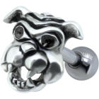 Helix Ohrpiercing B&ouml;ser Hund