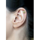 Helix Ohrpiercing mit Design 276 links