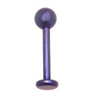 Labret aus Titan 1.2x6mm, purple