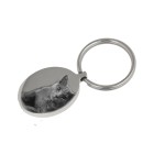 Ascheschmuck Schlüsselanhänger Oval Edelstahl mattiert