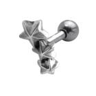 316L Helix Piercing 1.2x6mm mit Silberdesign Sterne f&uuml;r das rechte und f&uuml;r das linke Ohr erh&auml;ltlich.